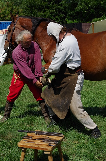 Grovsmed, Hestesko, Hest, Smede, Hammer