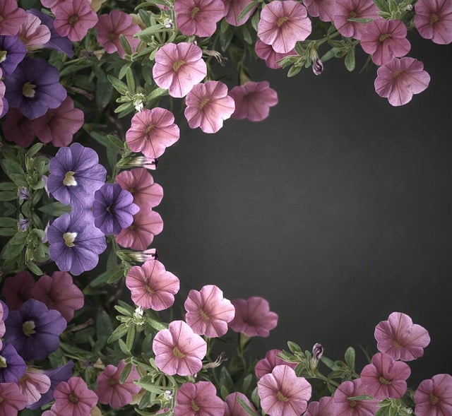 Free floral background flowers nature illustration