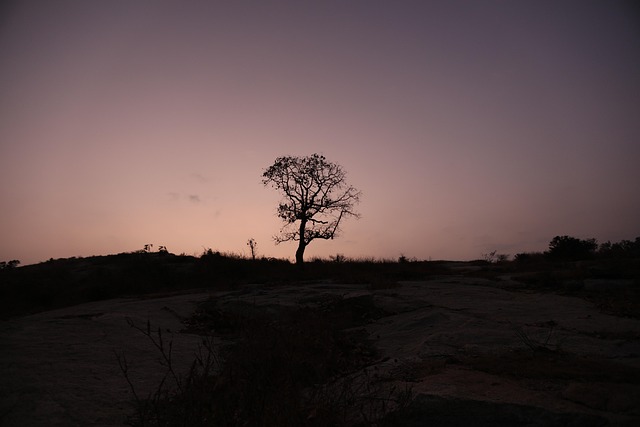 Free Nature Sunrise photo and picture