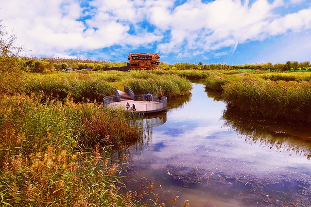 Rivier, Riet, Herfst, Natuur