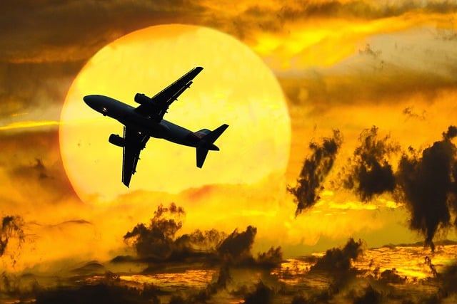 Free airplane travel vacation illustration