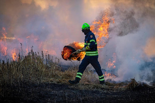 fire, field, firefighter, firefighting, wildfire, bushfire, burning, smoke, meadow, nature, grass, catastrophe