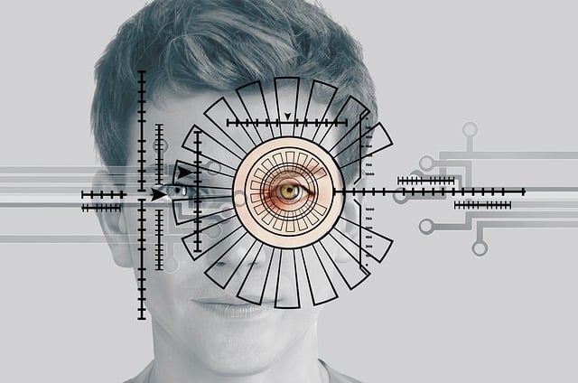 Free eye iris biometrics illustration