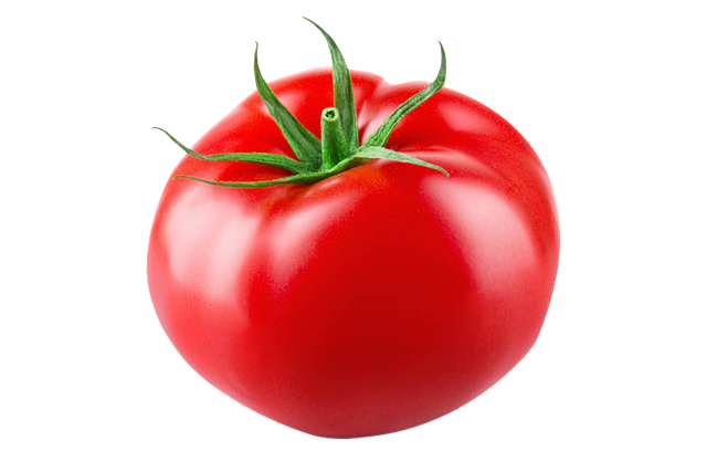Free tomato fruit red fruit illustration