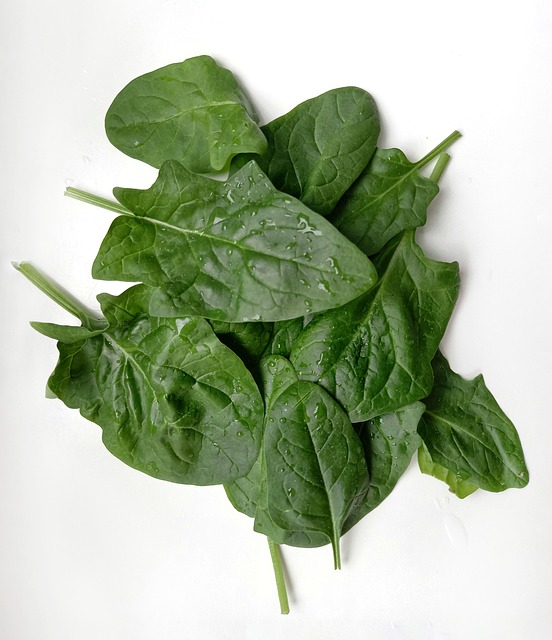 Vegetal, Espinafre, Orgânico, Saudável