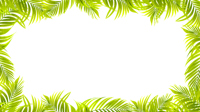 Download free HD stock image of Leaves Frame Free leaves frame nature illustration