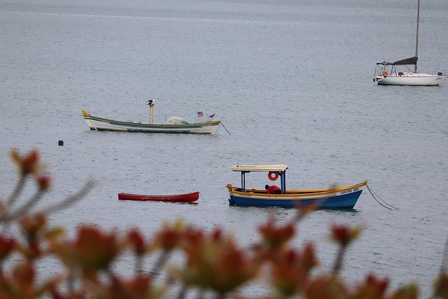 Free Boat Floripa photo and picture