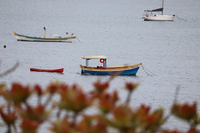 Free Boat Sea photo and picture