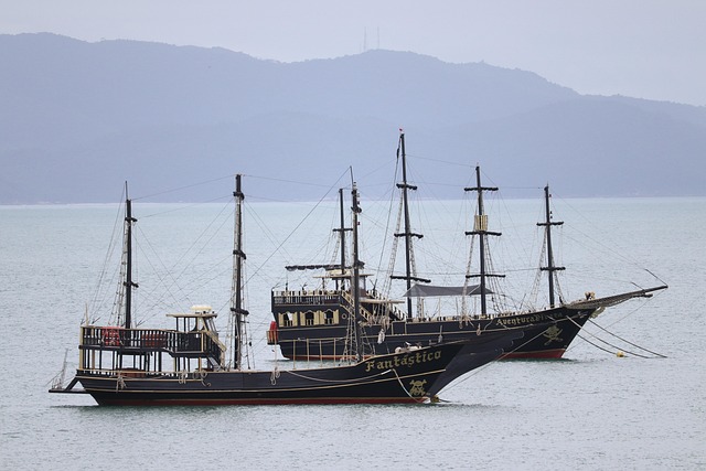 Free Ship Pirate photo and picture