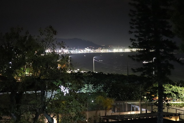 Free Night Beach photo and picture