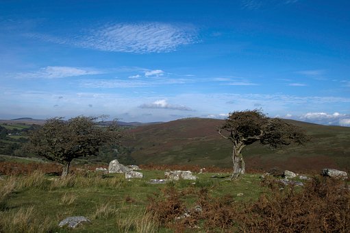 Free Landscape Dartmoor photo and picture