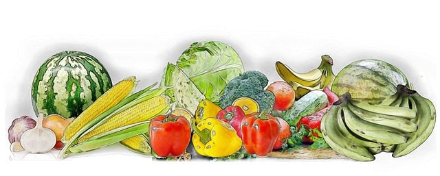 Free vegetables organic vegetables fresh produce illustration
