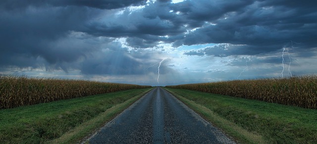 Free Road Cornfield photo and picture