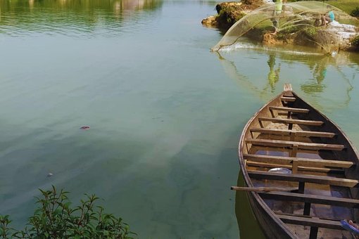 Rio, Lago, Natureza, Barco, Agua, Peixe