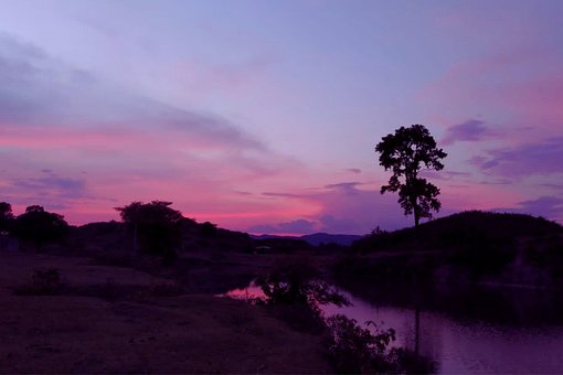 Pôr Do Sol, Céu, Borrão, Árvore, Sombrio