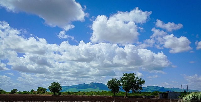 Free Sky Clouds photo and picture
