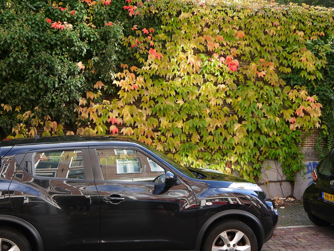 Fall Photo With Auto Fall Autumn Urban - Free photo on Pixabay