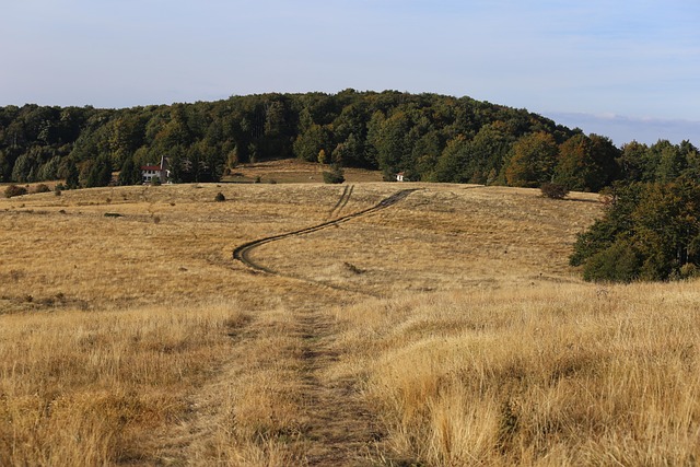 Free Nature Field photo and picture
