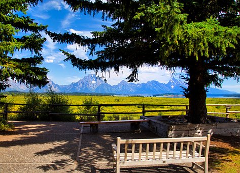 Free Nature Park photo and picture
