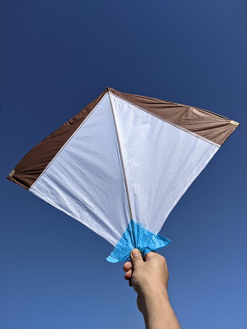 Free Kite Holding photo and picture