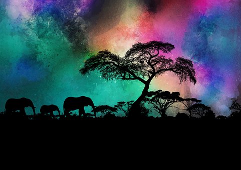 Elefant, Natur, Landskab, Himmel, Nat