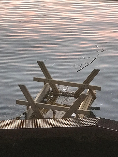 Free Garbage In The Water Garbage photo and picture