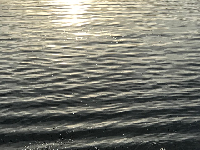Free Water Smooth Waves photo and picture