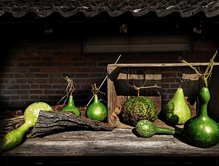 Free Gourd Gourds photo and picture