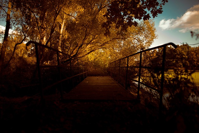 Free Autumn Nature photo and picture