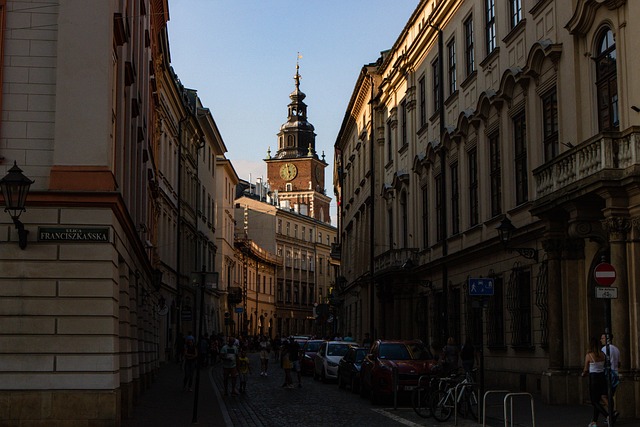 Free Wawel Cathedral photo and picture