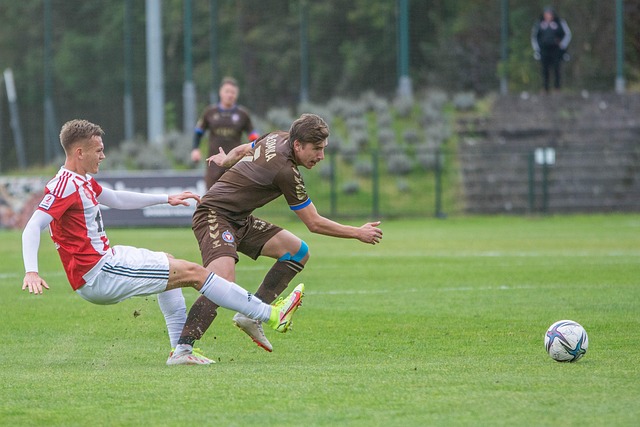 Free Garbarnia Krakow Football photo and picture