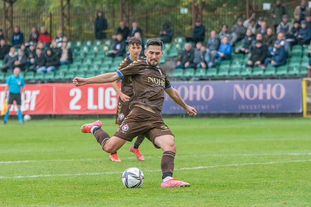 Free Garbarnia Krakow Football photo and picture