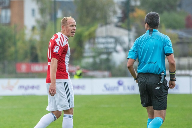 Free Garbarnia Krakow Football photo and picture