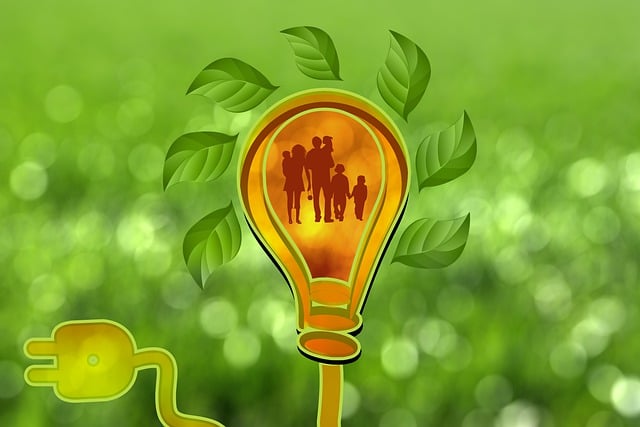 Free light bulb electricity energy illustration