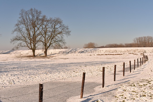 Free Pathway Trail photo and picture