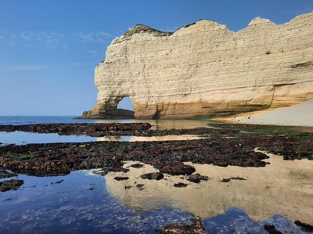 Free Reflection Etretat photo and picture