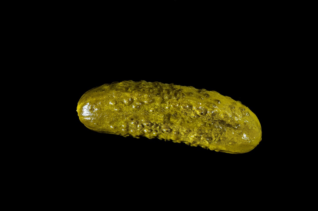 Vegetable Pickle Pickled Cucumber Free photo on Pixabay Pixabay