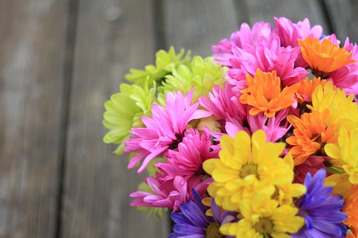 Blumen, Blüte, Botanik, Natur