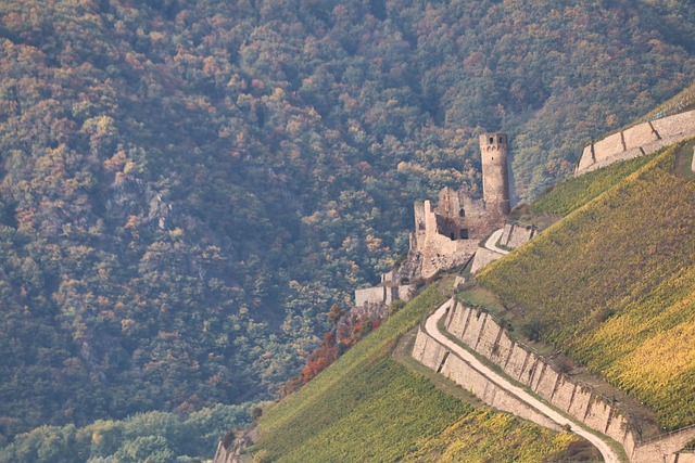 Schloss Ruine Der Burg Turm - Kostenloses Foto auf Pixabay