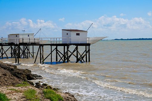 Mar, Net, Pêssego, Pecador, Solha