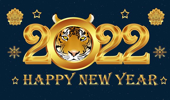 Free Sylvester Happy New Year illustration and picture