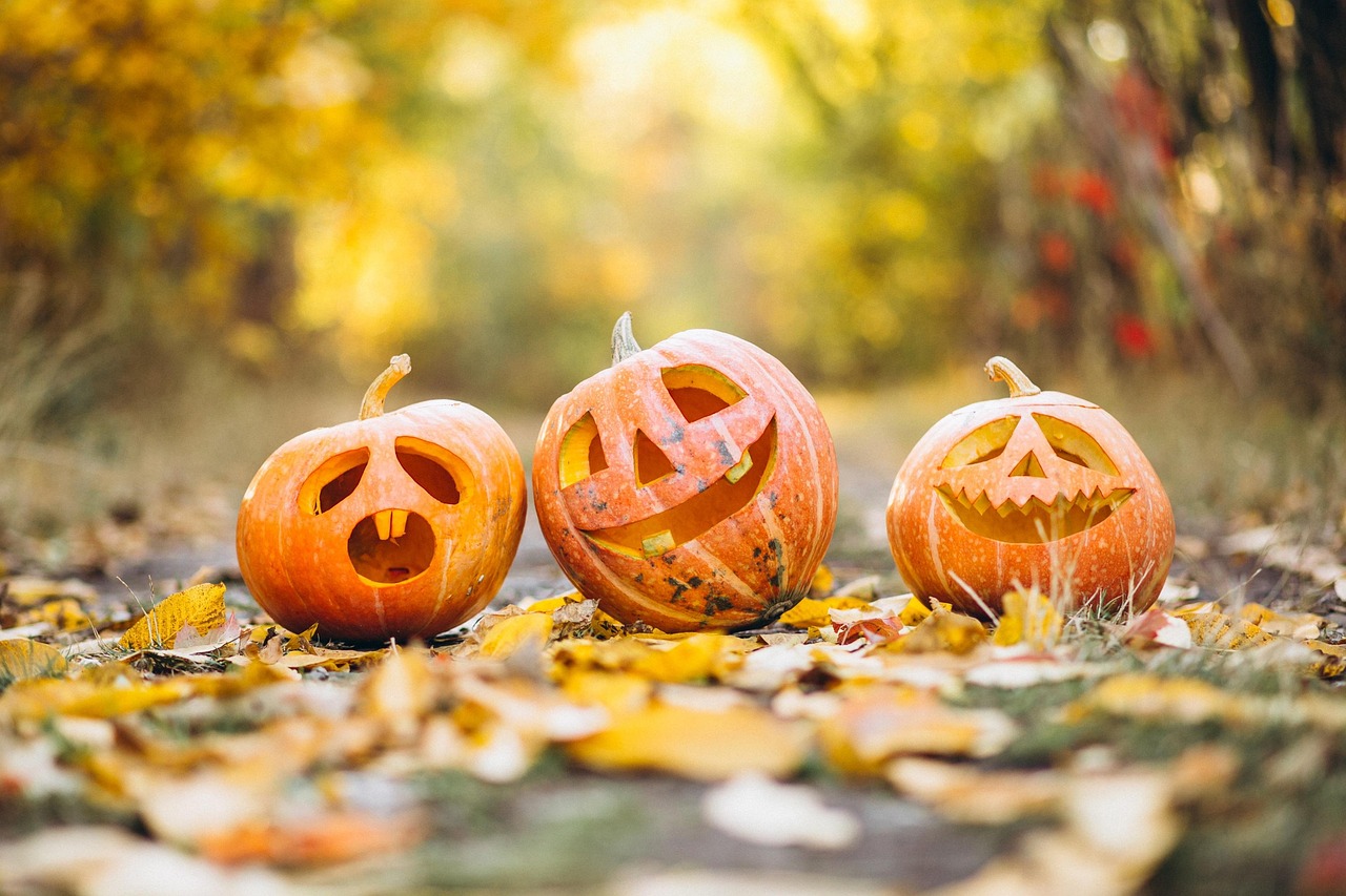 10 000 Kostenlose Gruselige Halloween Bilder Pixabay