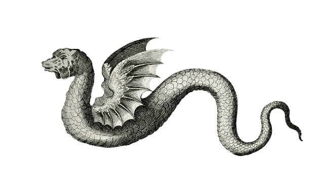 Free dragon creature folklore illustration