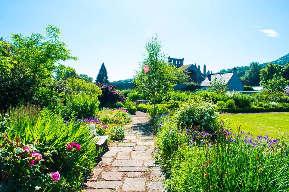 Melrose Abbey Pflanzen Garten Kostenloses Foto auf Pixabay Pixabay