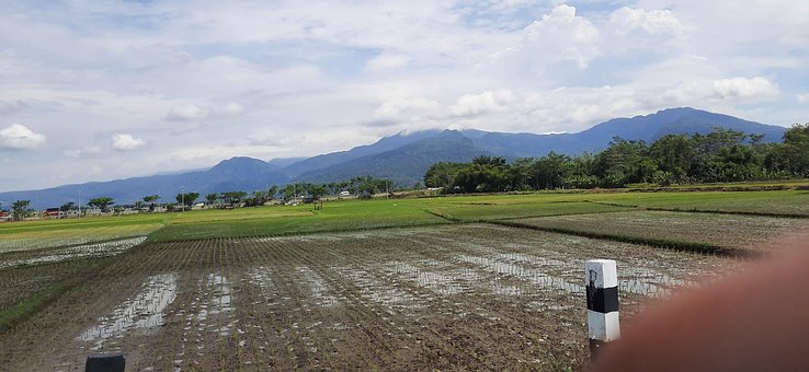 Landwirtschaft, Feld, Landschaft, Berg