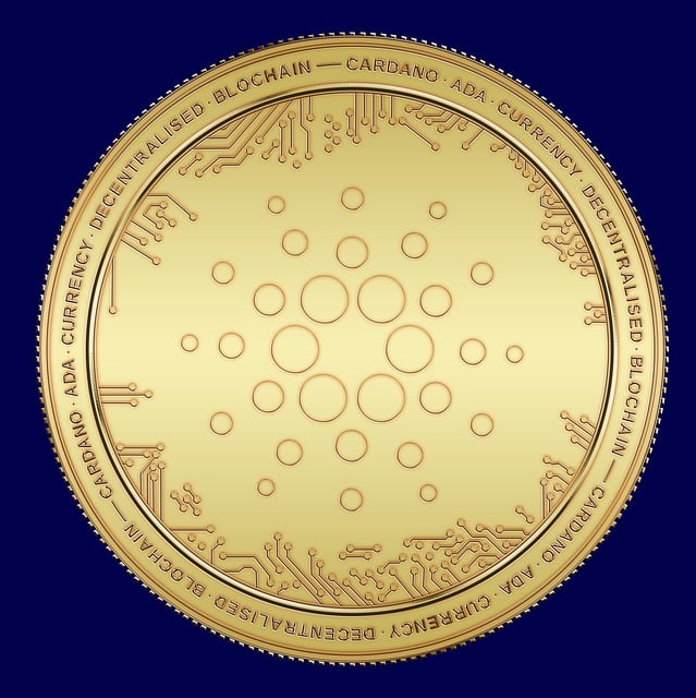 Free coin currency money illustration