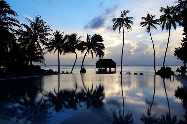Free Maldives Meeru Island photo and picture