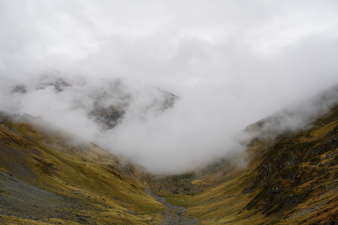 Fog - free online jigsaw puzzle photo