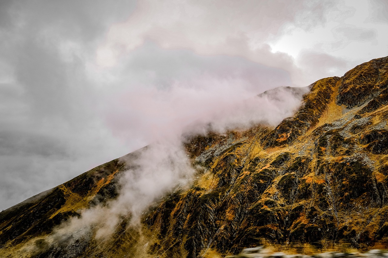 Fog - free online jigsaw puzzle photo