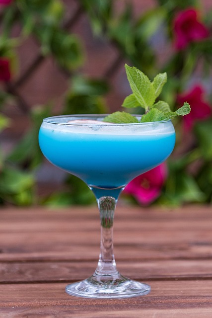 Free Cocktail Drink photo and picture